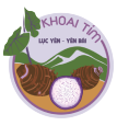 KHOAI TÍM LỤC YÊN